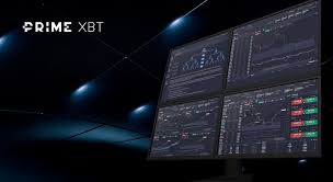 Ultimate Guide to Learning with PrimeXBT Forex Education